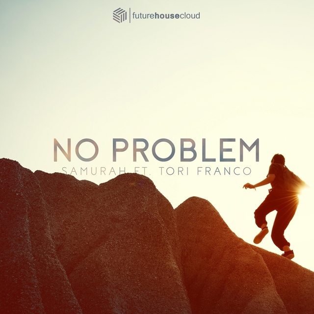 Couverture de No Problem