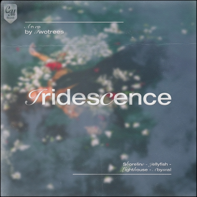 Couverture de Iridescence