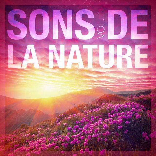 Couverture de Sons de la nature, vol. 1