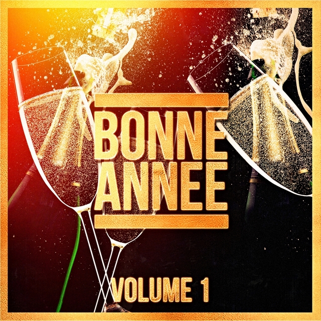 Bonne année !, Vol. 1