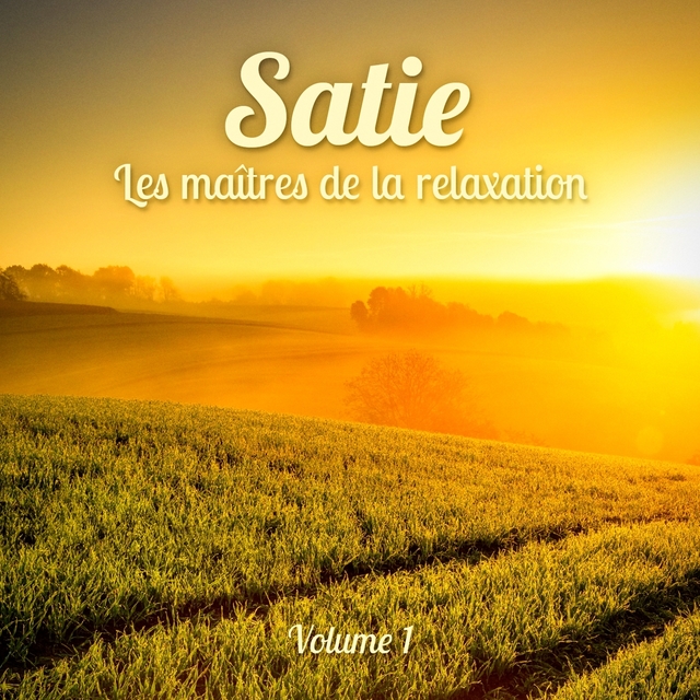 Les maîtres de la relaxation : Satie, Vol. 1