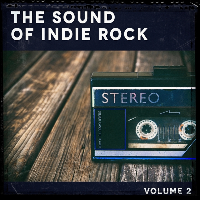 Couverture de The Sound of Indie Rock, Vol. 2