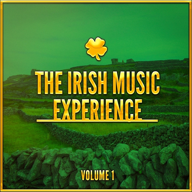 Couverture de The Irish Music Experience, Vol. 1 (A Selection of Traditional Music from Ireland)