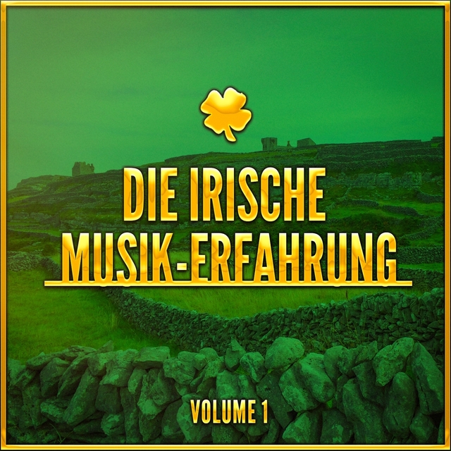 Couverture de Die Irische Musik-Erfahrung, Vol. 1 (Eine Auswahl traditioneller Musik aus Irland)