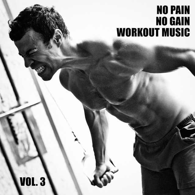 Couverture de No Pain No Gain Workout Music, Vol. 3