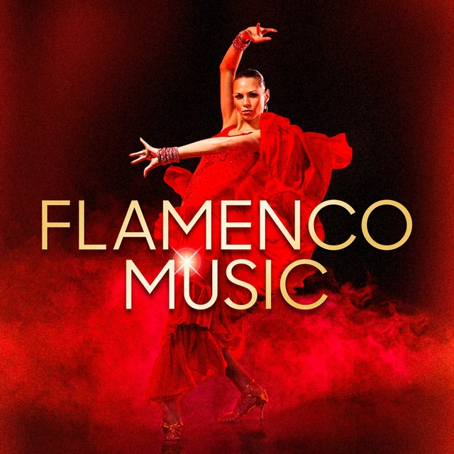 Couverture de Flamenco Music