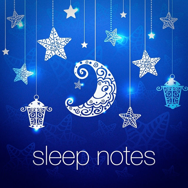 Couverture de Sleep Notes