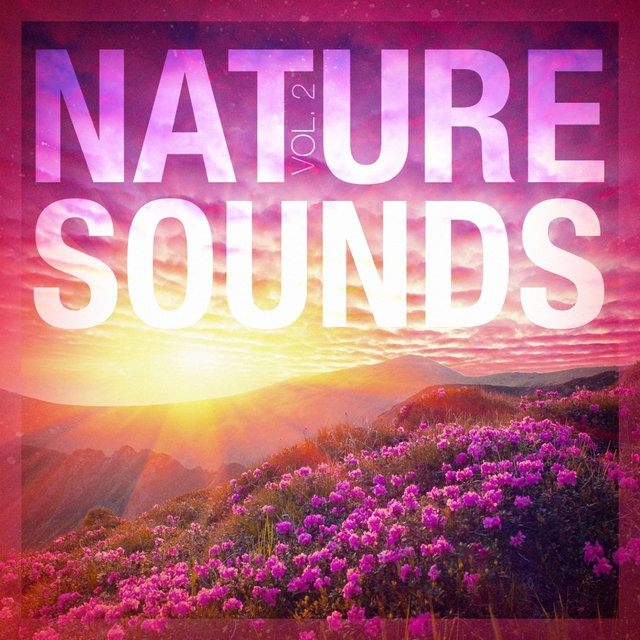 Nature Sounds, Vol. 2