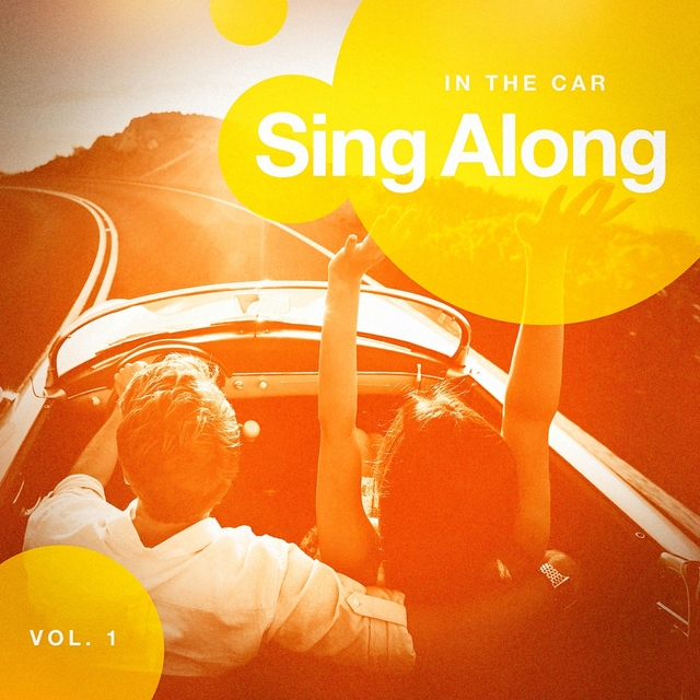 Couverture de Sing Along in the Car, Vol. 1