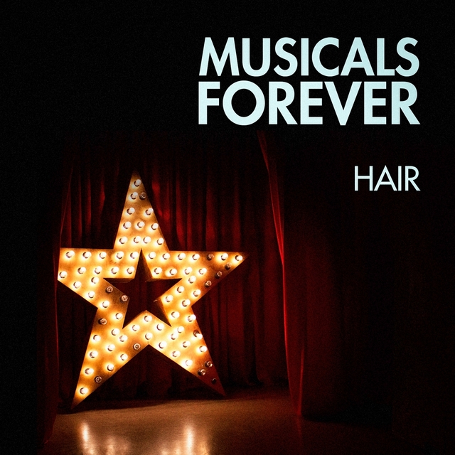 Couverture de Musicals Forever: Hair