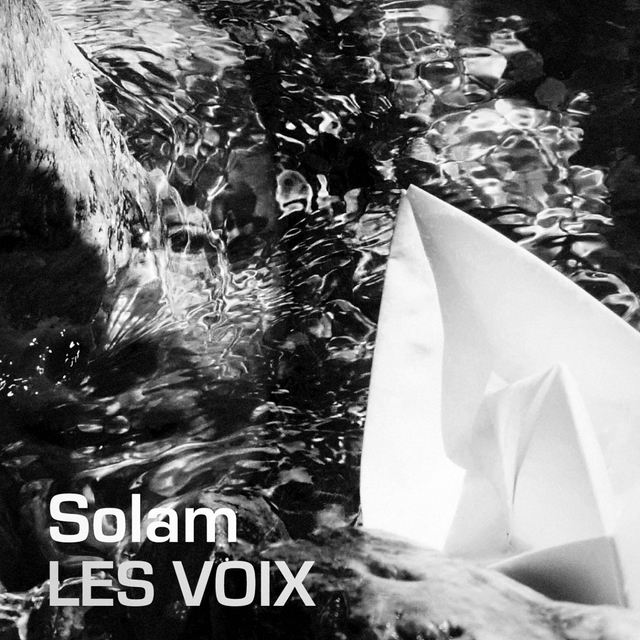 Couverture de Les voix