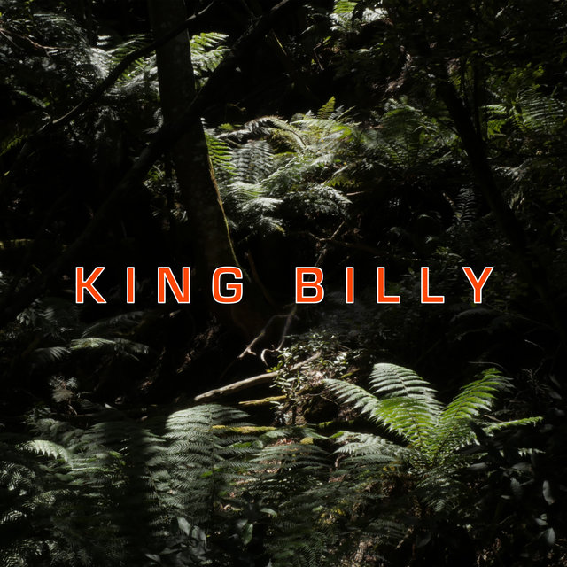 Couverture de King Billy