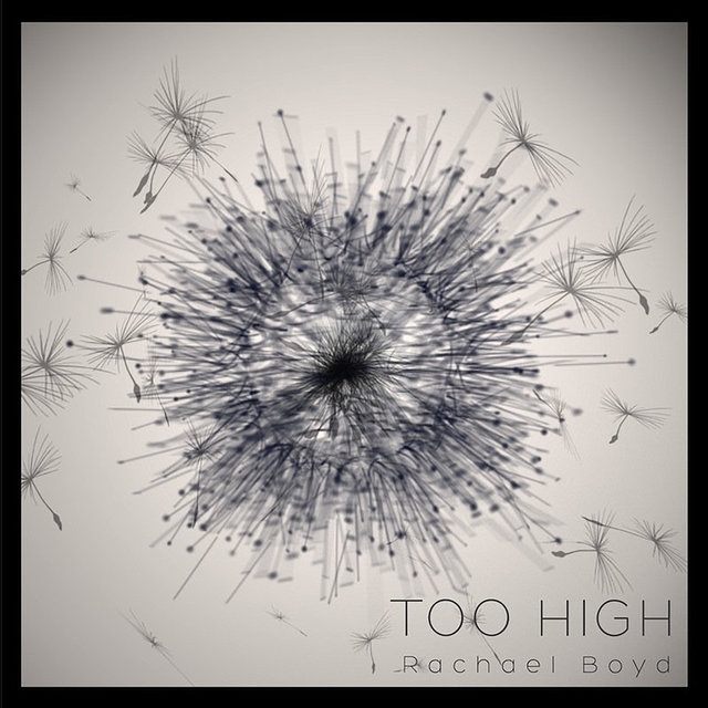 Couverture de Too High