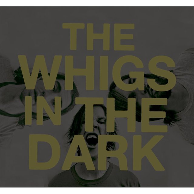 Couverture de In the Dark