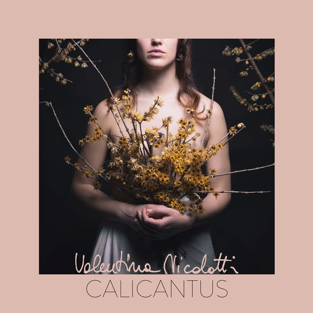 Couverture de Calicantus