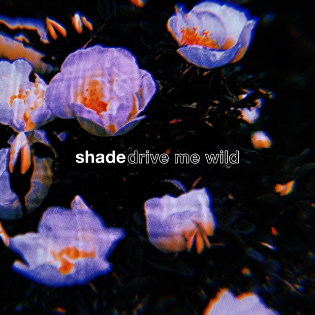 Couverture de Drive Me Wild