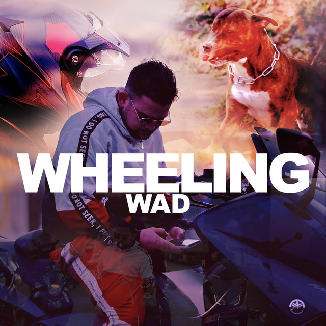 Couverture de Wheeling