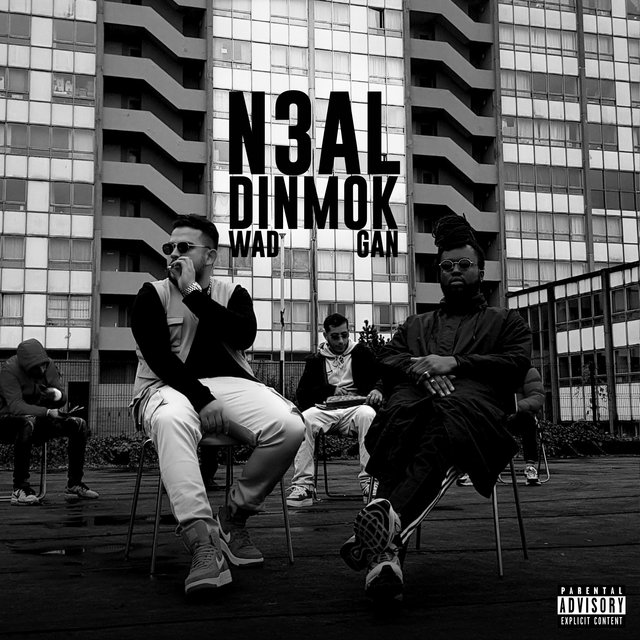 Couverture de N3al Dinmok