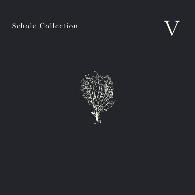 Schole Collection V