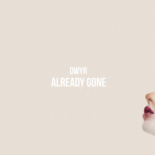 Couverture de Already Gone