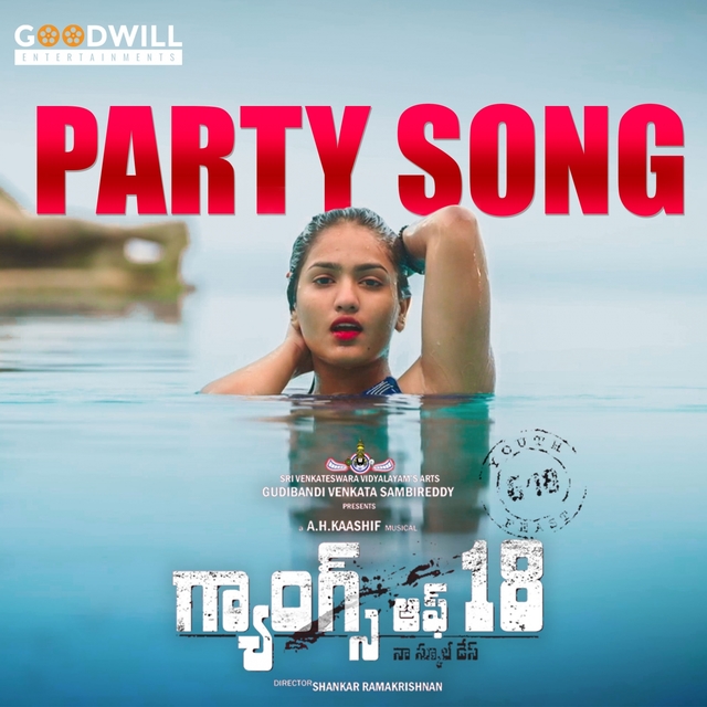 Couverture de Party Song