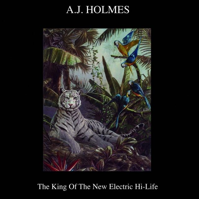 Couverture de The King of the New Electric Hi-Life