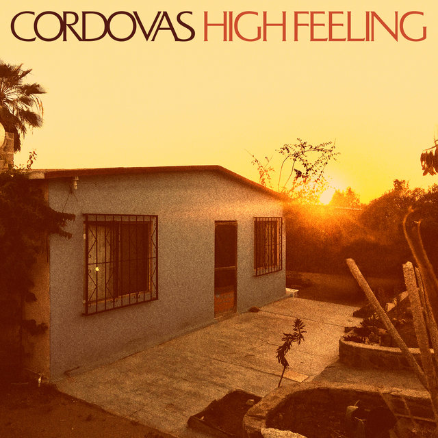 Couverture de High Feeling