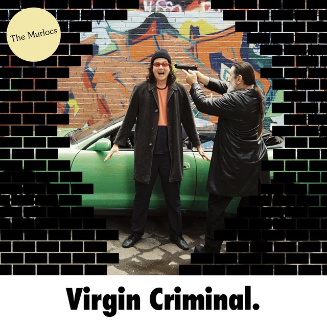 Couverture de Virgin Criminal