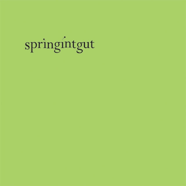 Couverture de Springintgut