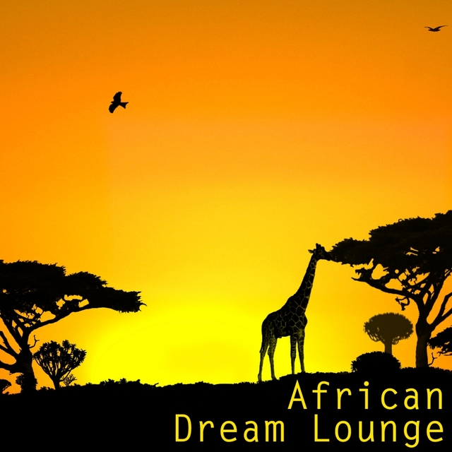 Couverture de African Dream Lounge