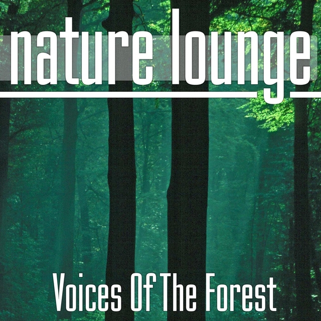 Voices of the Forest