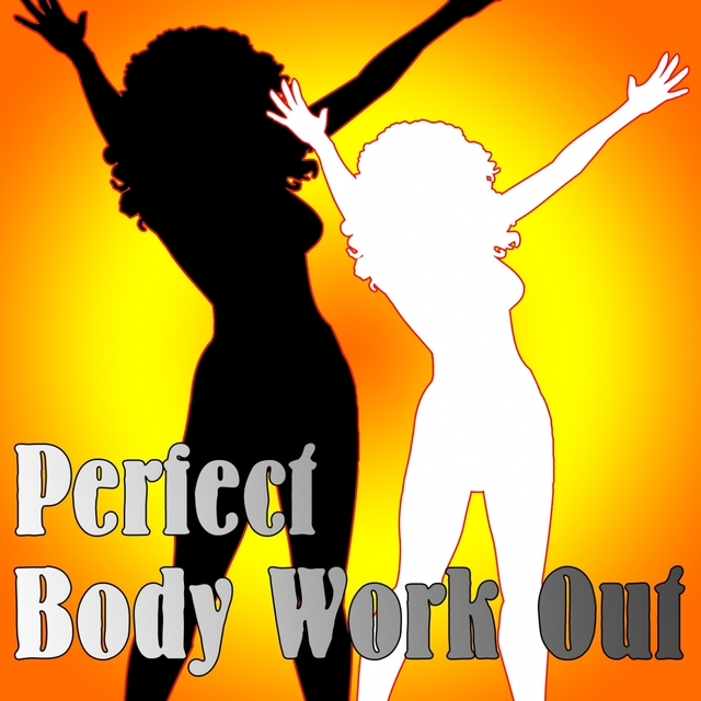 Couverture de Perfect Body Work Out