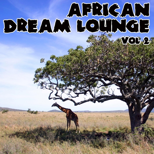Couverture de African Dream Lounge - Volume 2