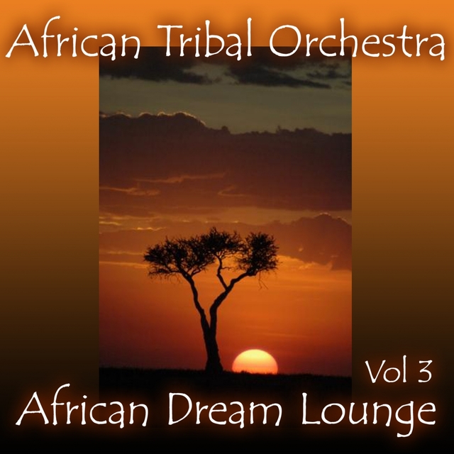 Couverture de African Dream Lounge, Volume 3