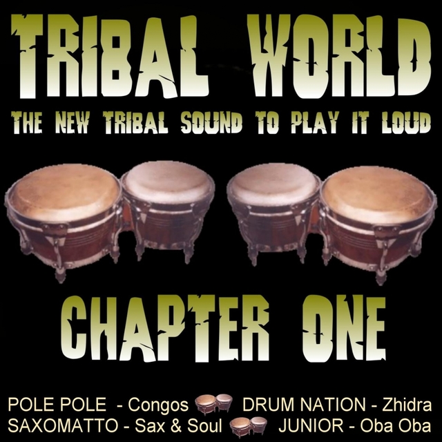 Couverture de Tribal World - Chapter One