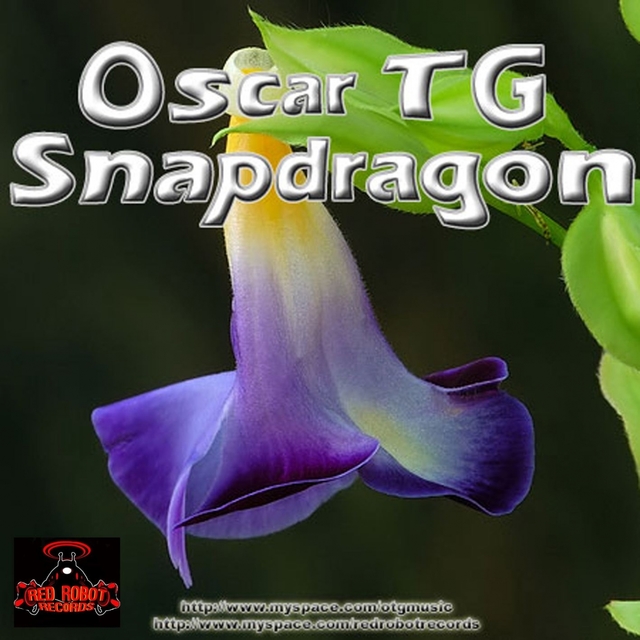 Snapdragon