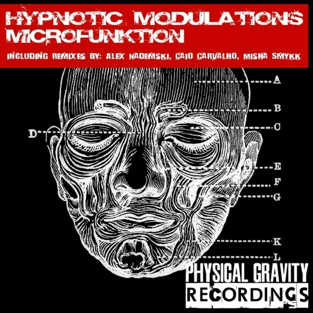 Couverture de Hypnotic Modulations