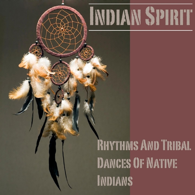 Couverture de Rhythms And Tribal Dances Of Native Indians