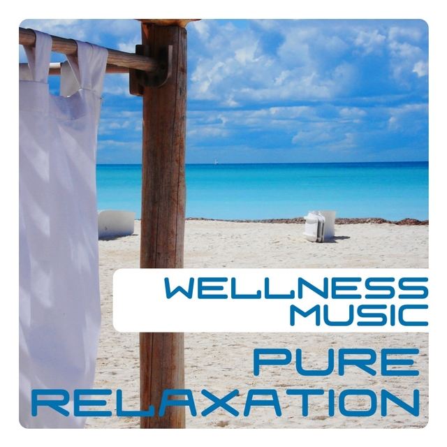 Wellness Music, Pure Relaxation