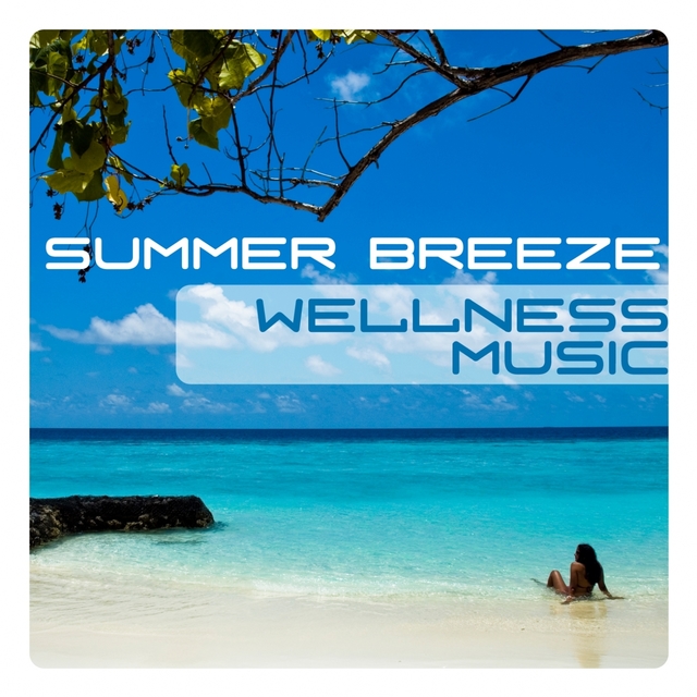 Couverture de Wellness Music, Summer Breeze