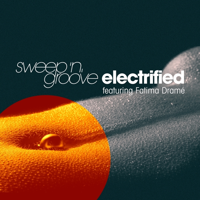 Couverture de Electrified