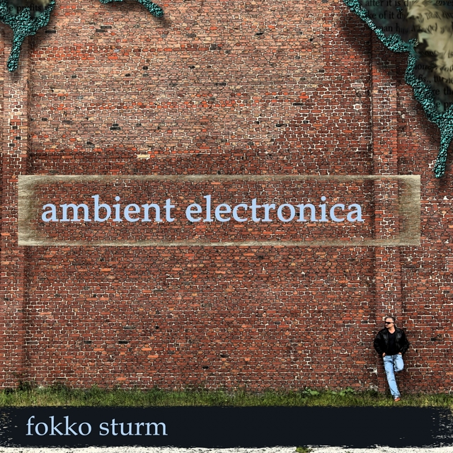 Couverture de Ambient Electronica