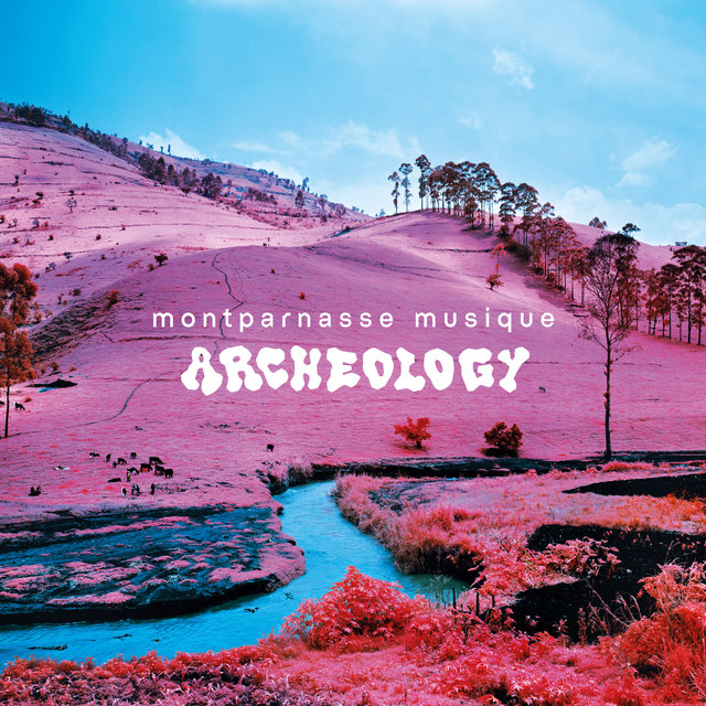 Couverture de Archeology