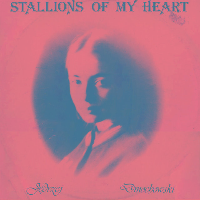 Couverture de Stallions of My Heart