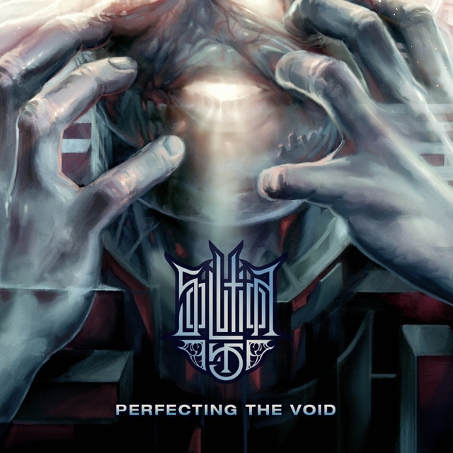 Couverture de Perfecting the Void