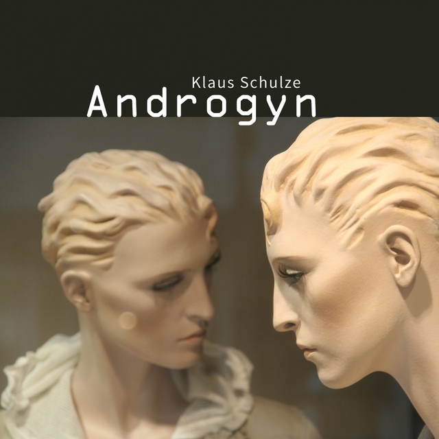 Couverture de Androgyn