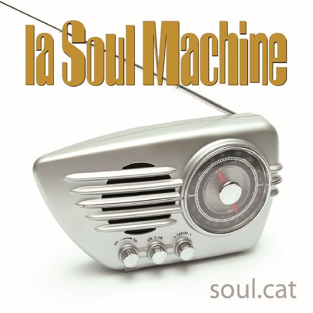 Couverture de Soul.Cat