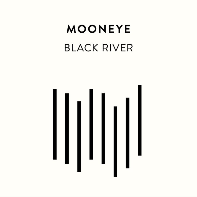 Couverture de Black River