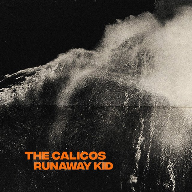 Couverture de Runaway Kid