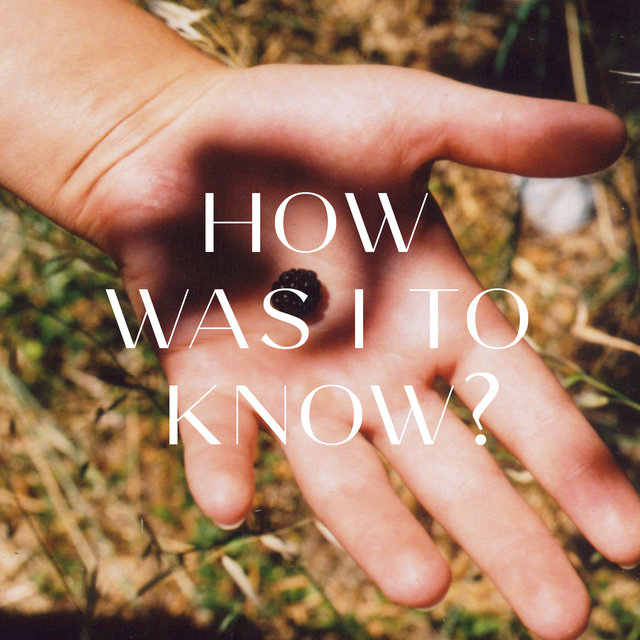 Couverture de How Was I to Know?